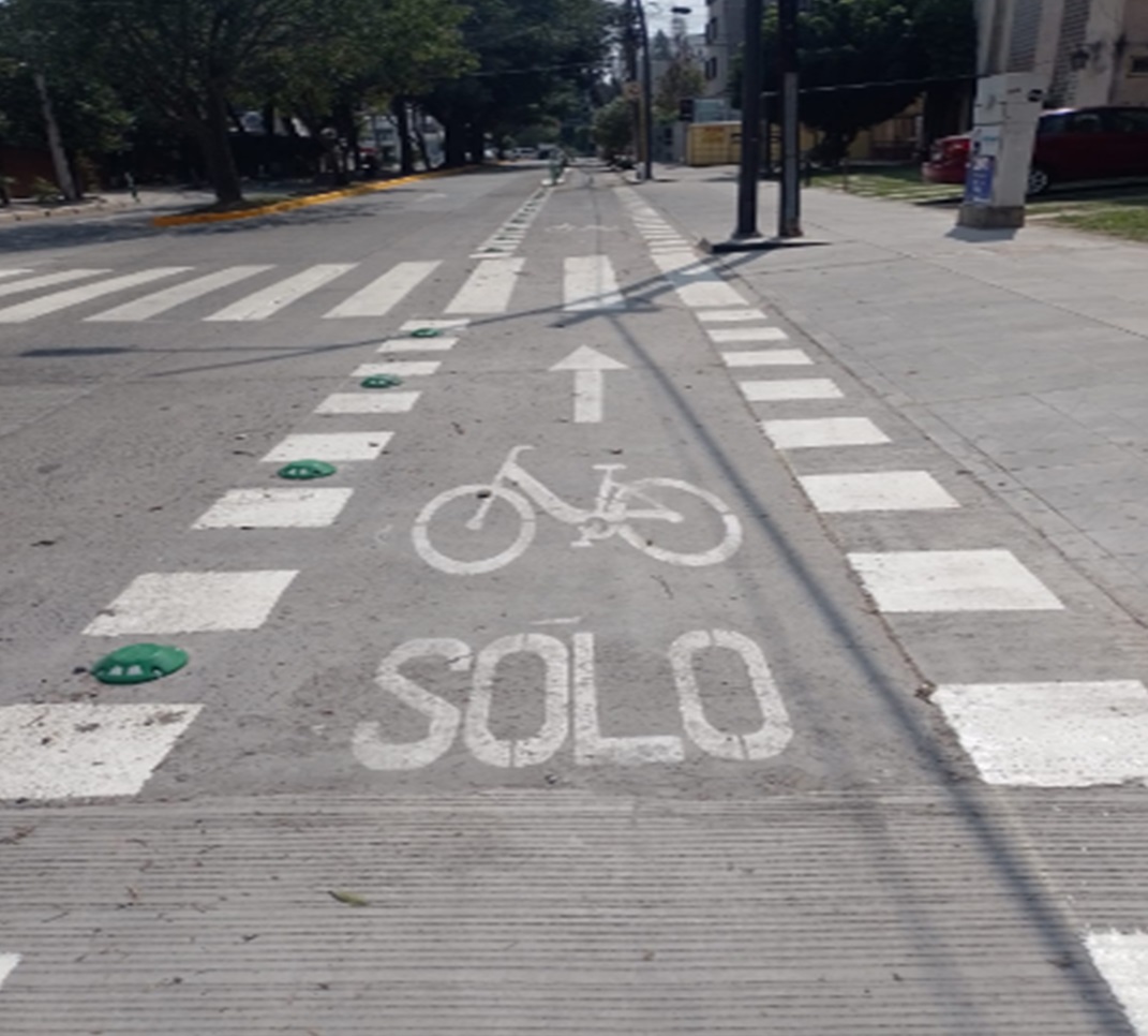 Imagen del Proyecto