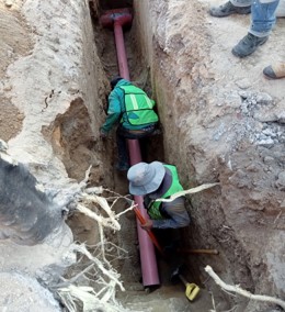 Imagen del proyecto