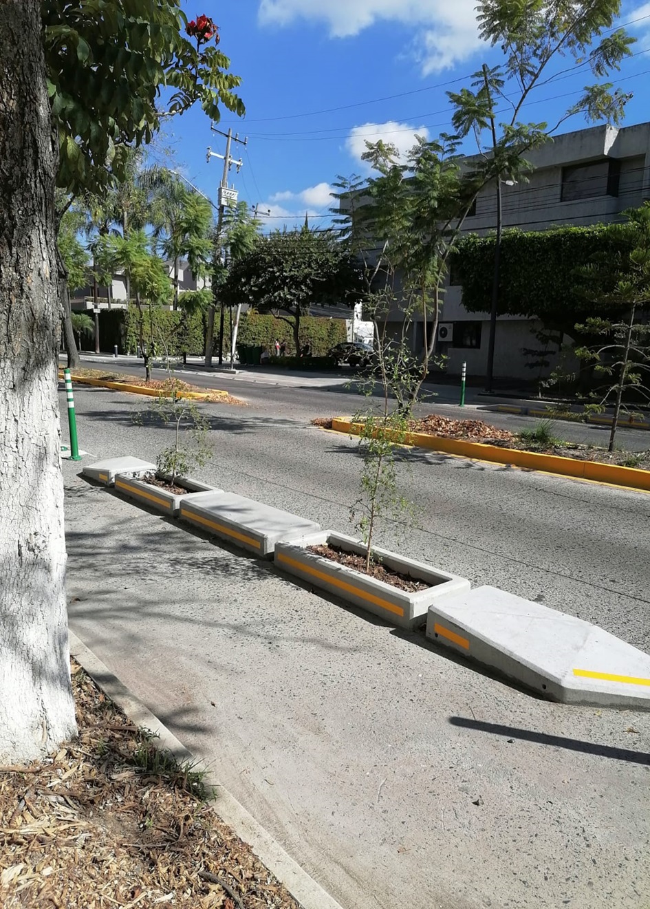 Imagen del proyecto