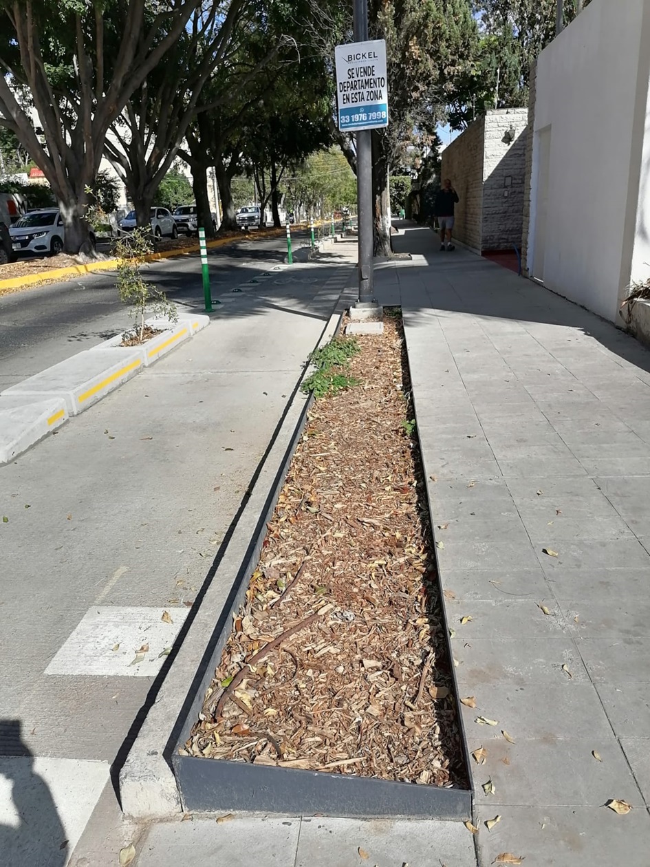 Imagen del proyecto
