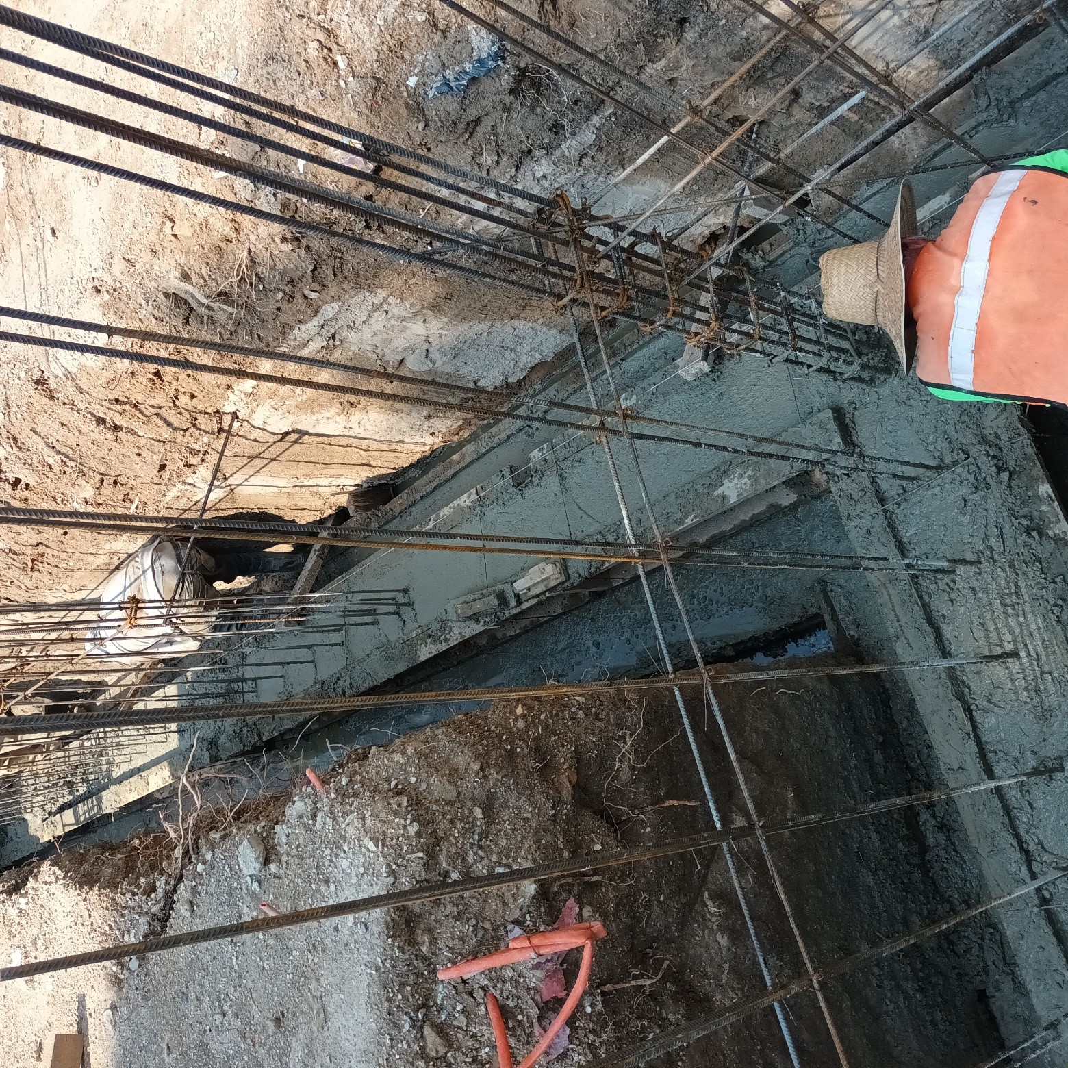 Imagen del proyecto
