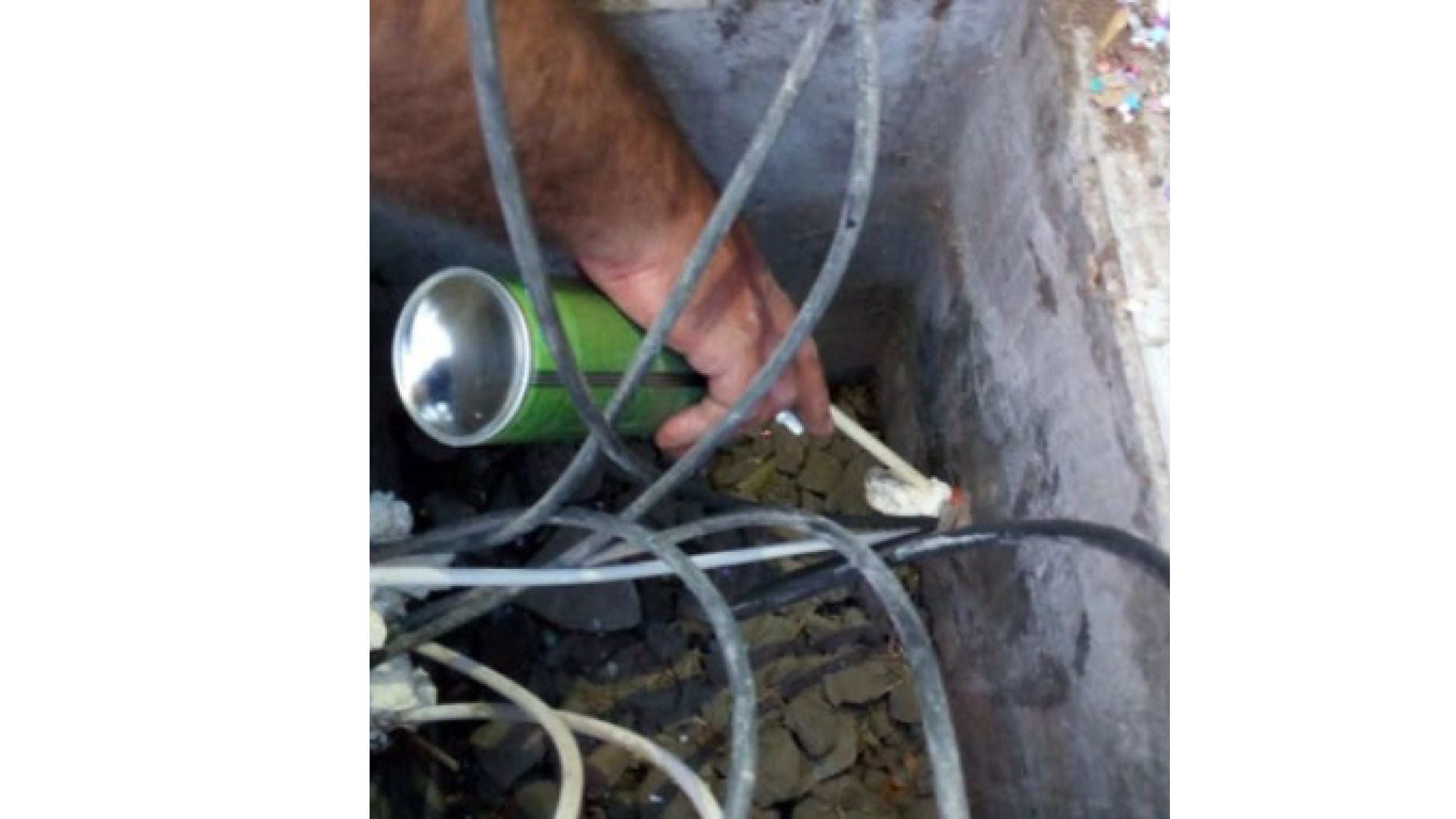 Imagen del proyecto