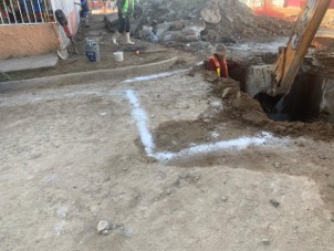 Imagen del proyecto