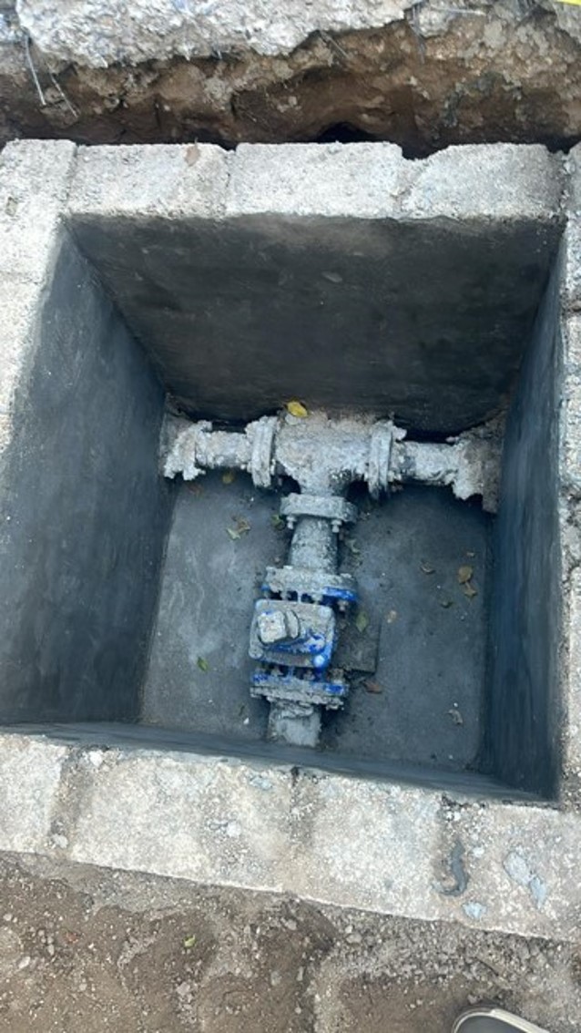 Imagen del proyecto