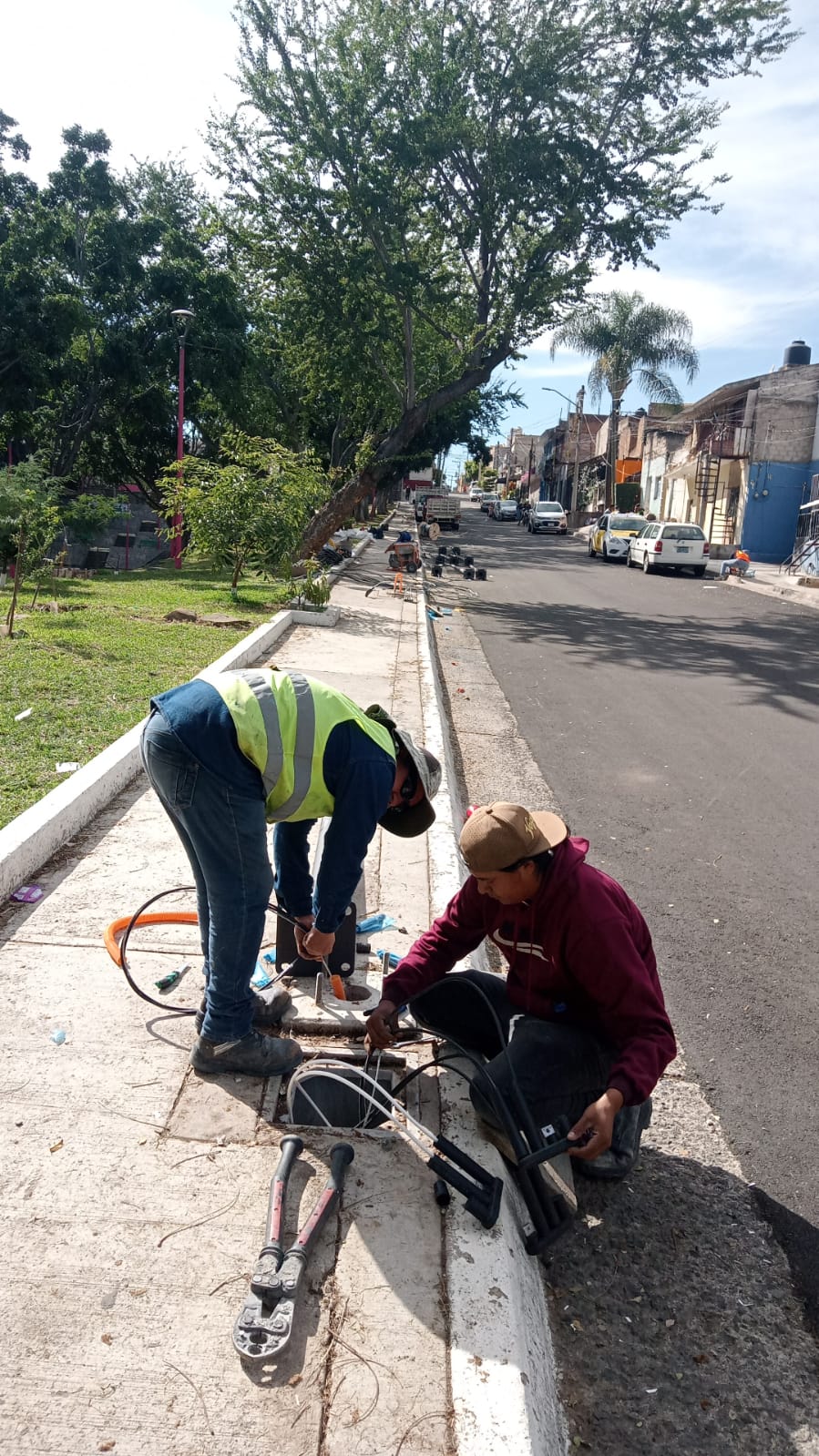 Imagen del proyecto