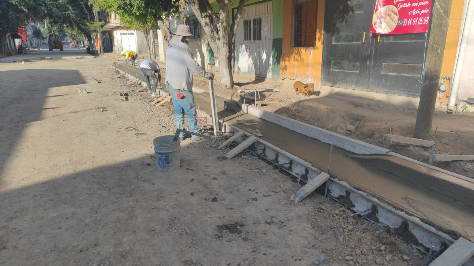 Imagen del proyecto