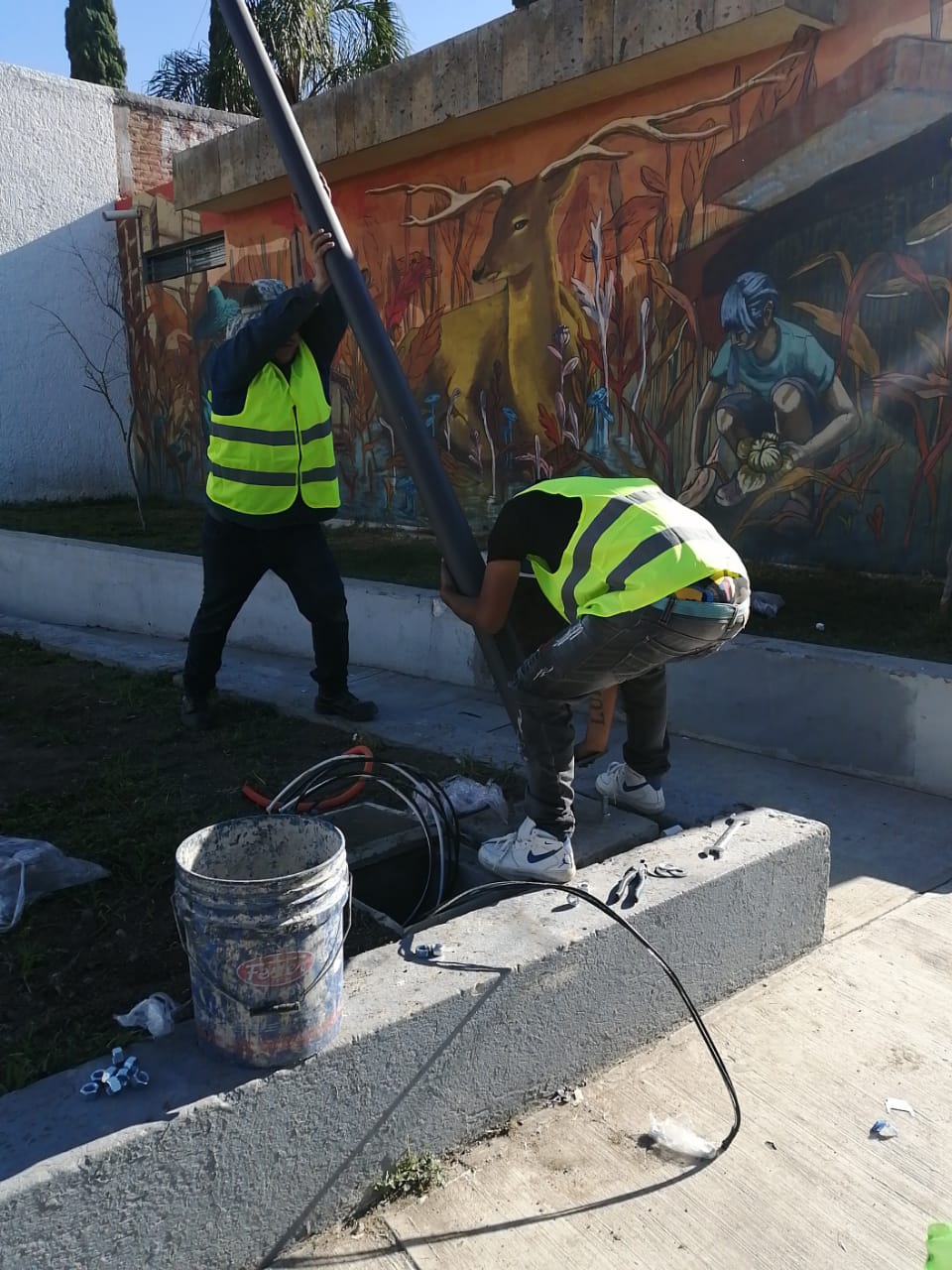 Imagen del proyecto