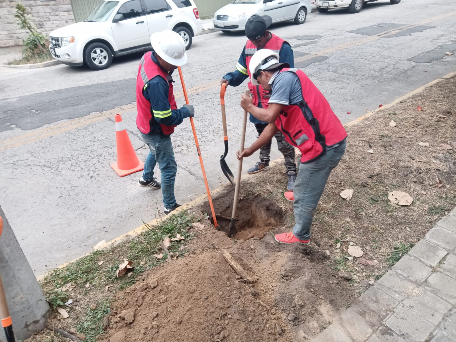Imagen del proyecto