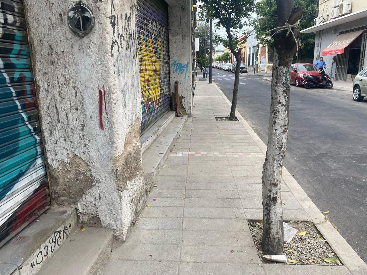 Imagen del proyecto