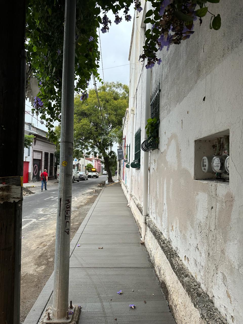 Imagen del proyecto