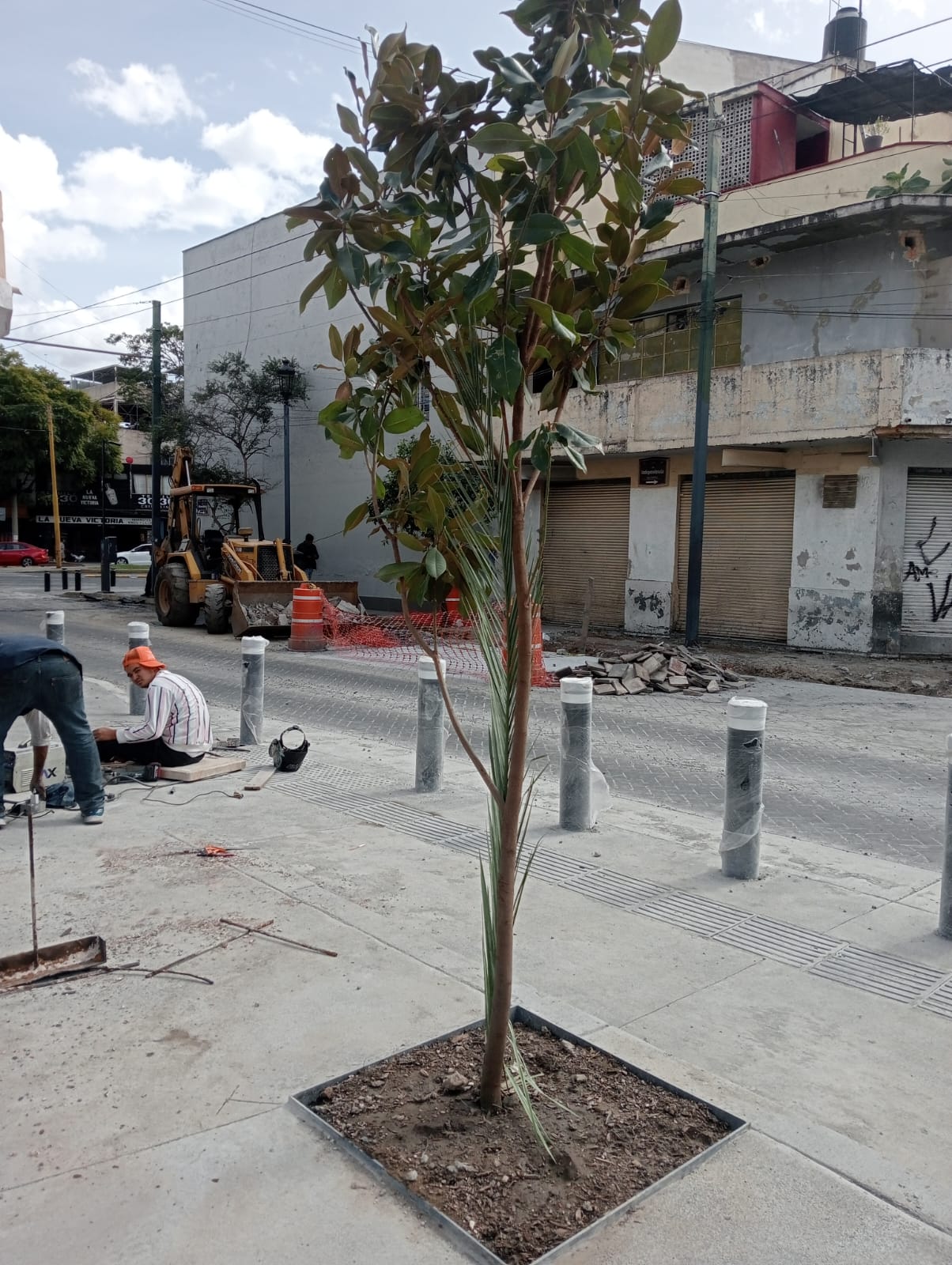 Imagen del proyecto