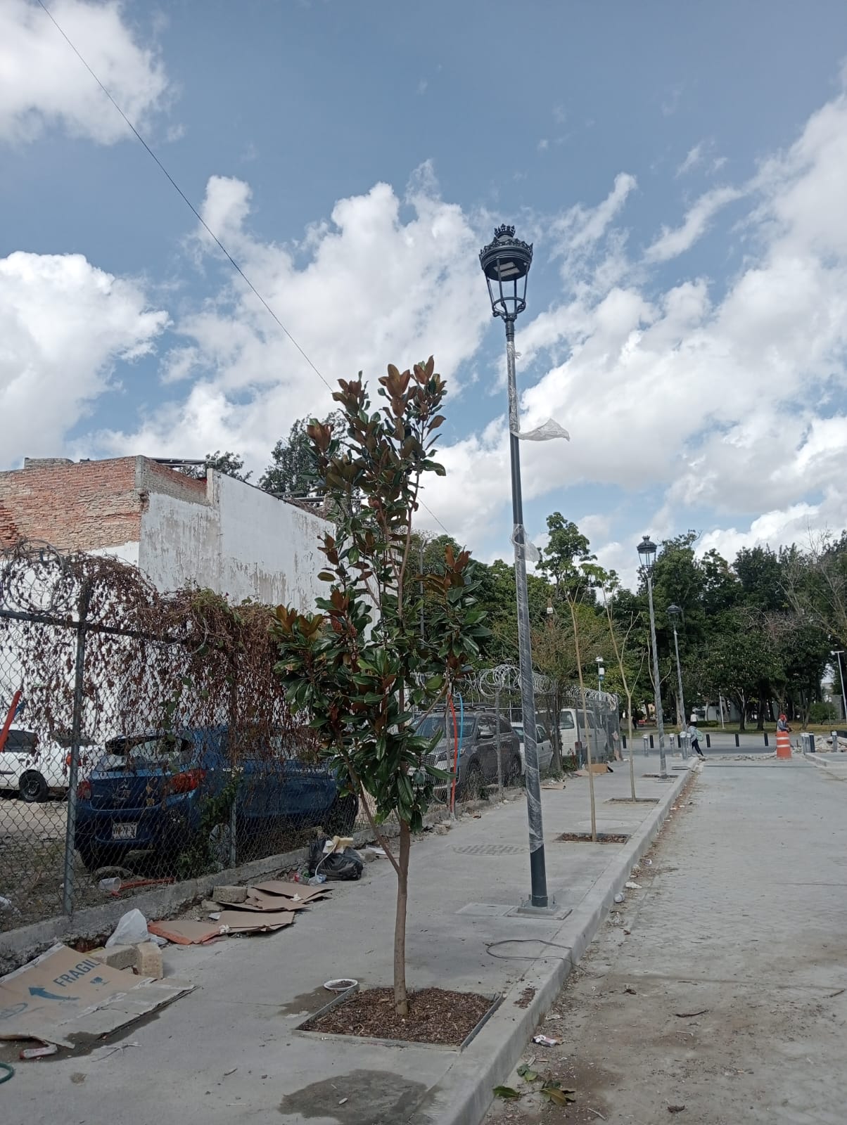 Imagen del proyecto