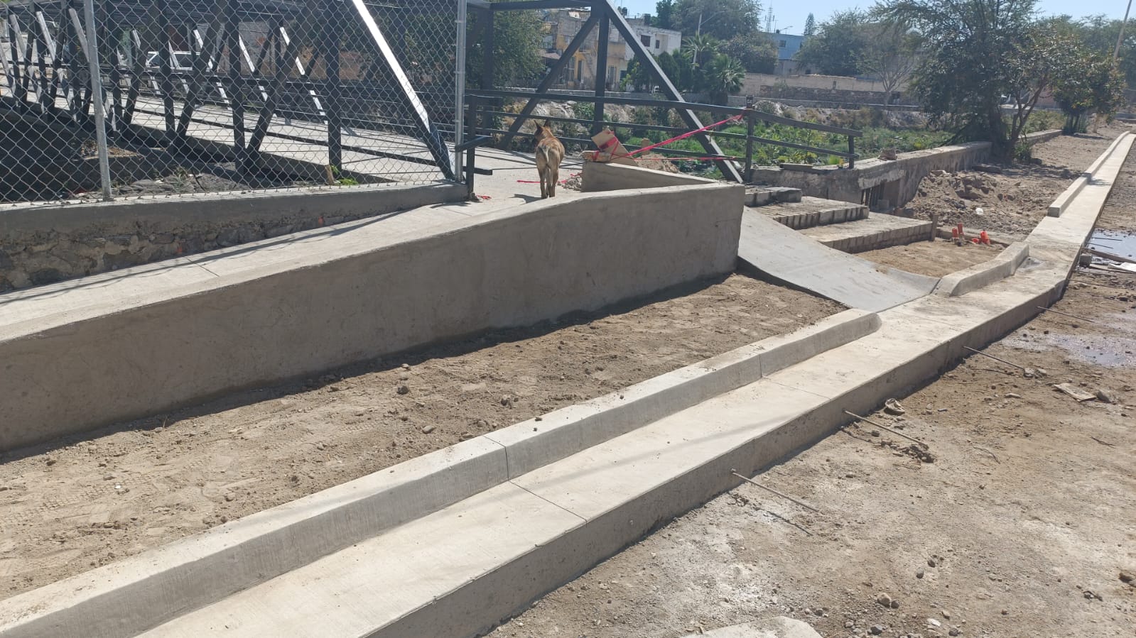 Imagen del proyecto
