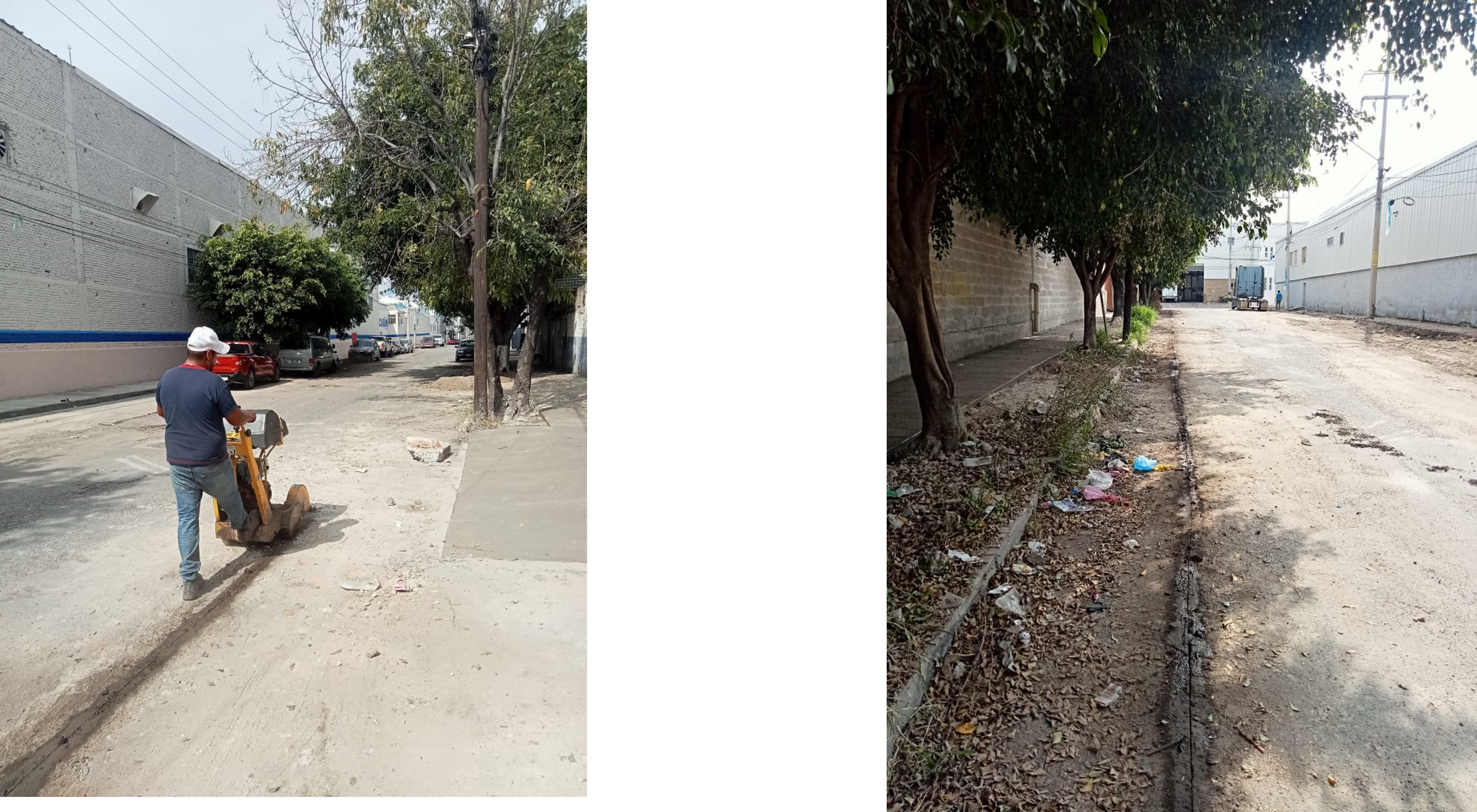 Imagen del proyecto