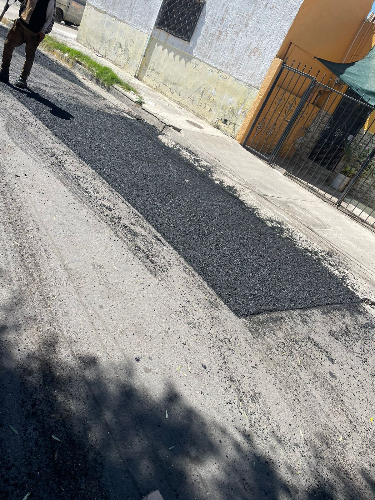 Imagen del proyecto