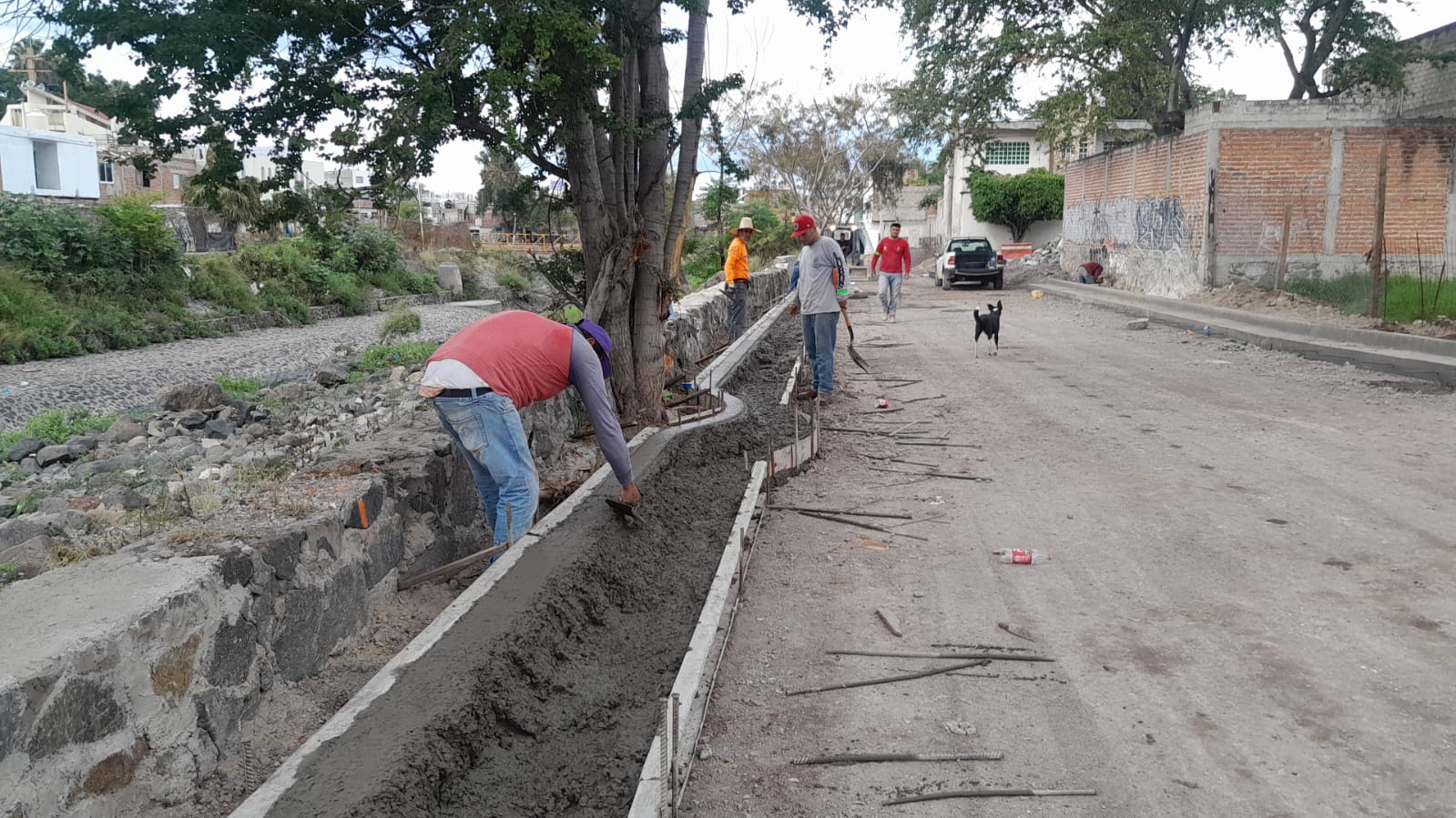 Imagen del proyecto