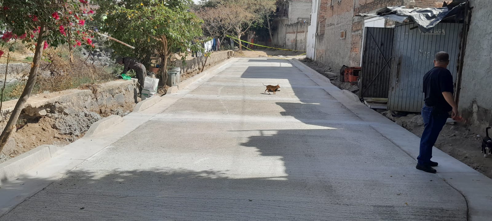 Imagen del proyecto