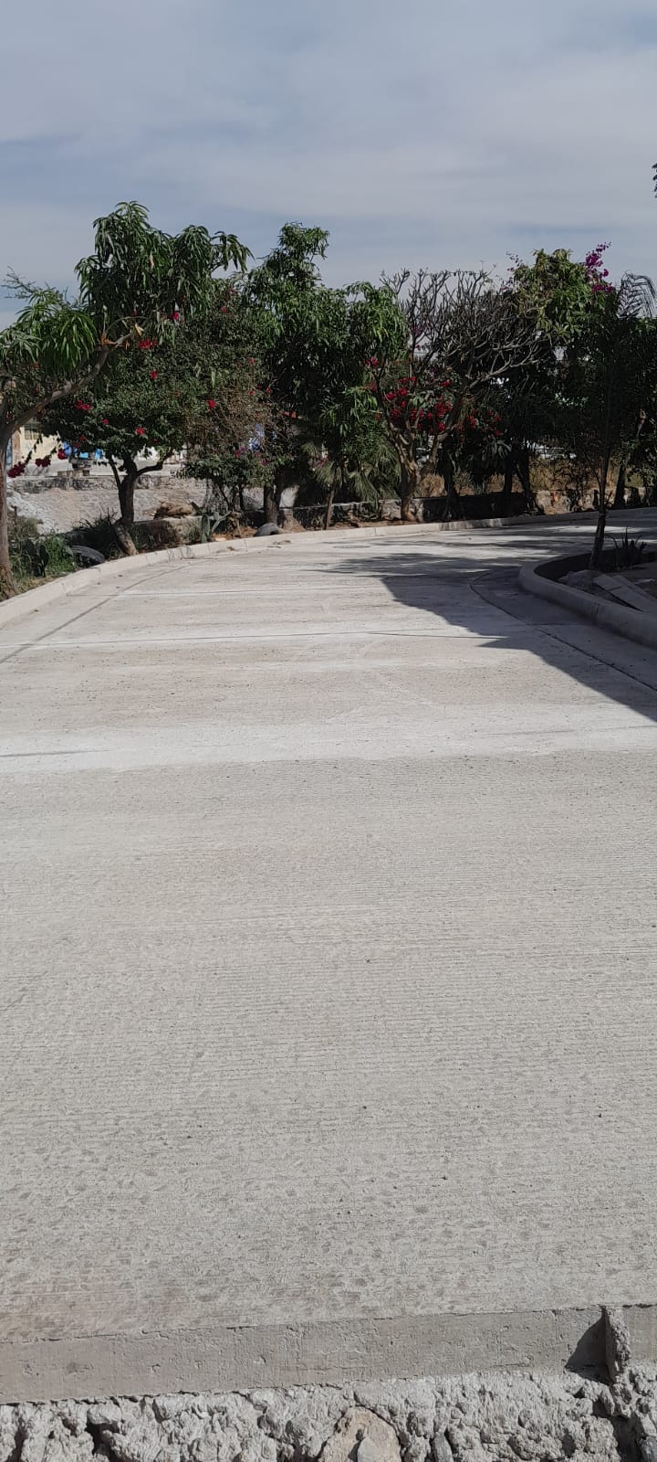 Imagen del proyecto
