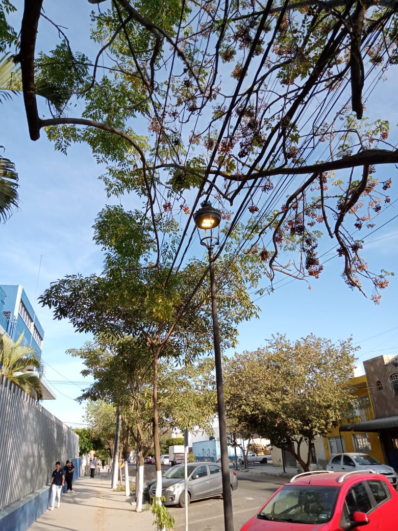 Imagen del proyecto