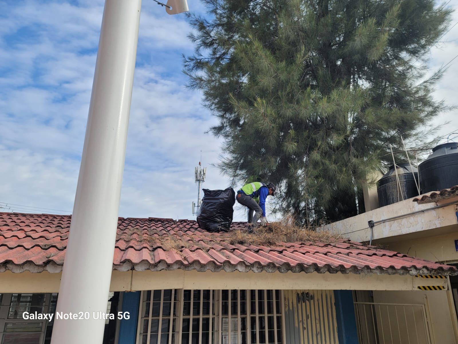 Imagen del proyecto