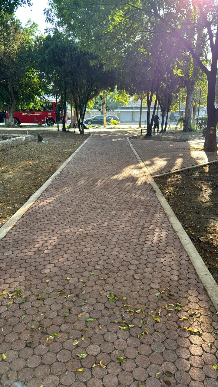 Imagen del proyecto