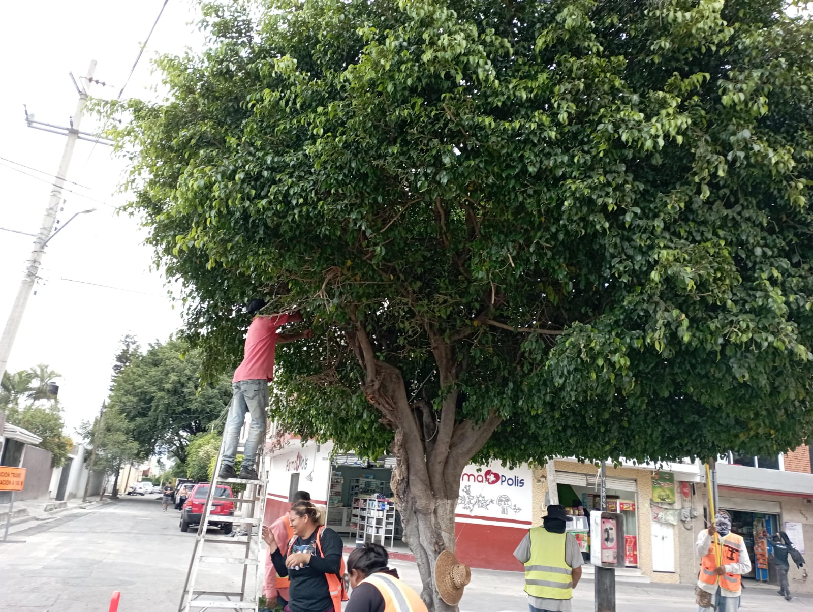 Imagen del proyecto