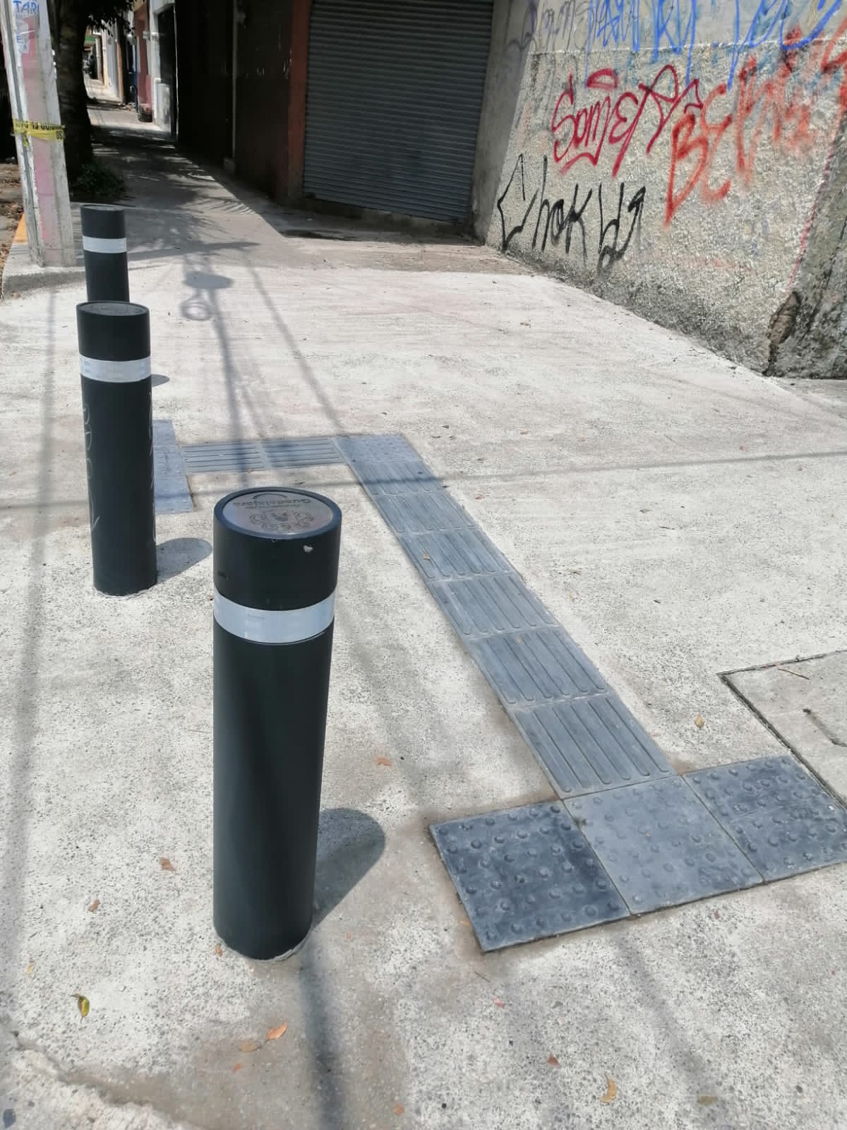 Imagen del proyecto