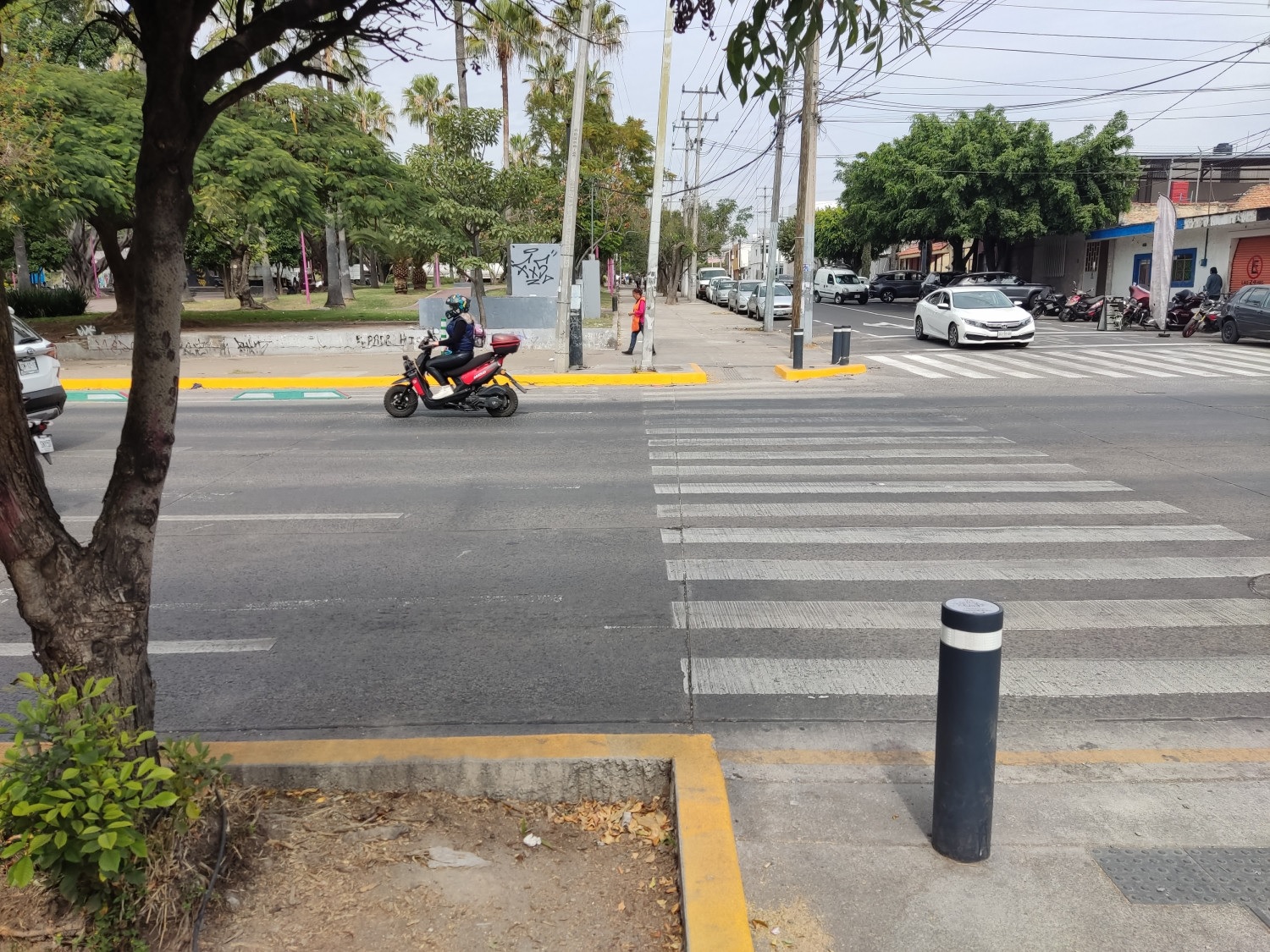 Imagen del proyecto