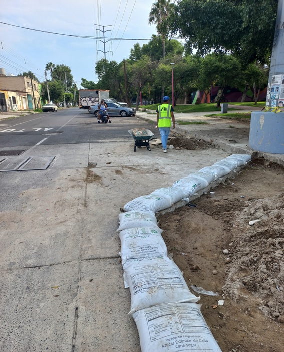 Imagen del proyecto