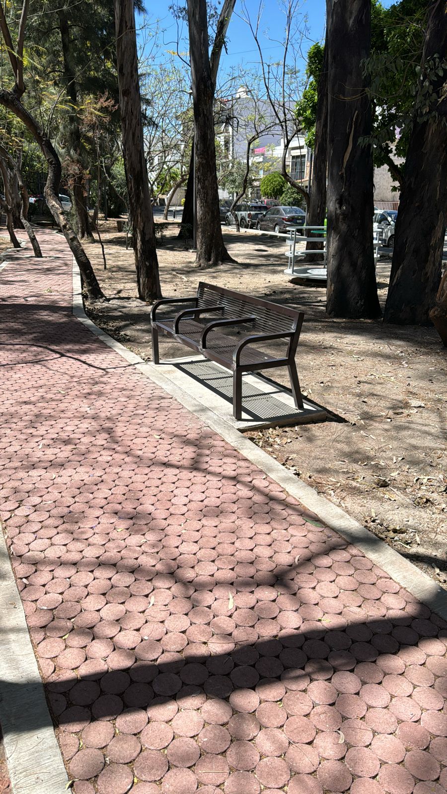 Imagen del Proyecto