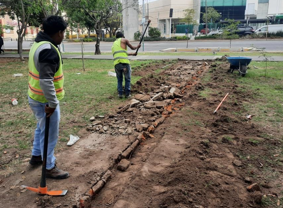 Imagen del proyecto