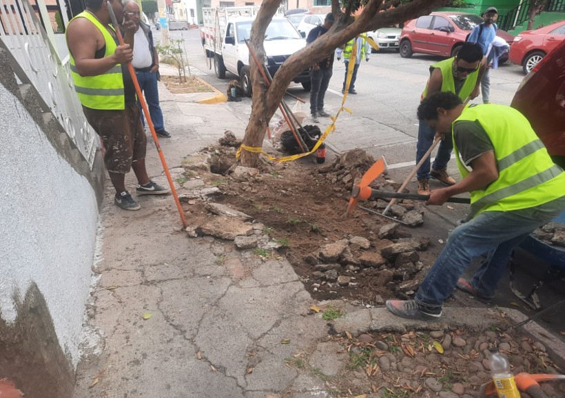 Imagen del proyecto