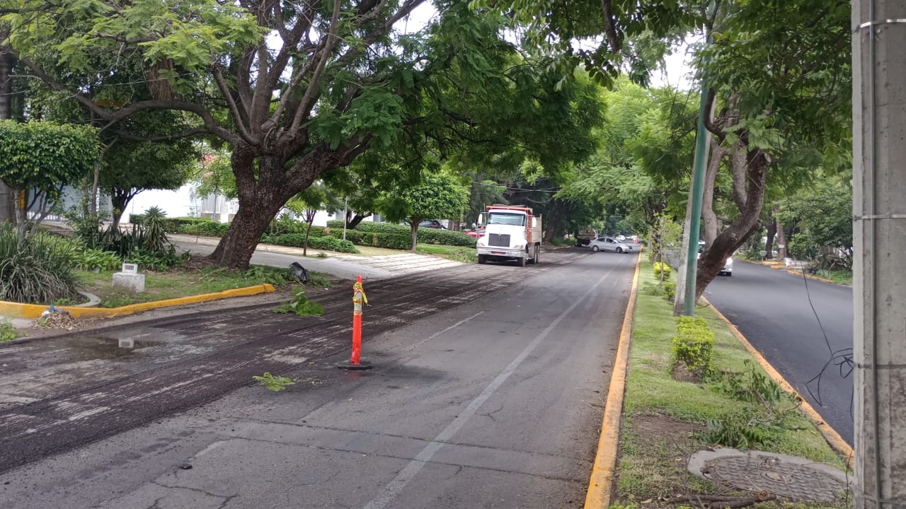 Imagen del proyecto