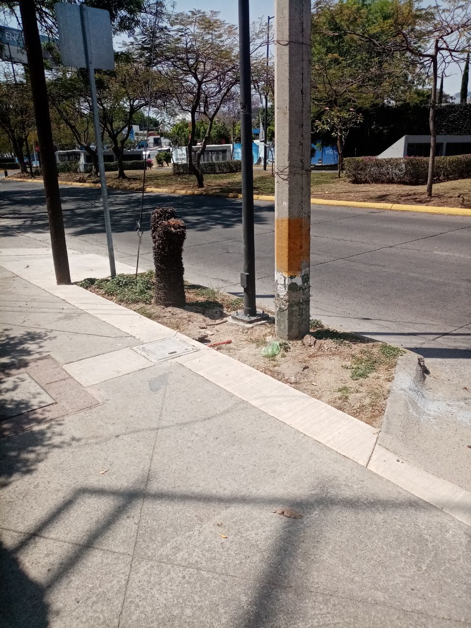 Imagen del proyecto