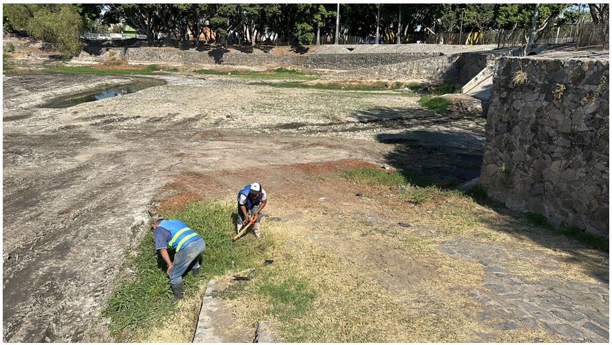 Imagen del proyecto