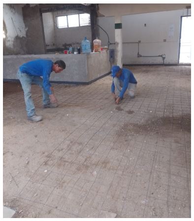 Imagen del proyecto