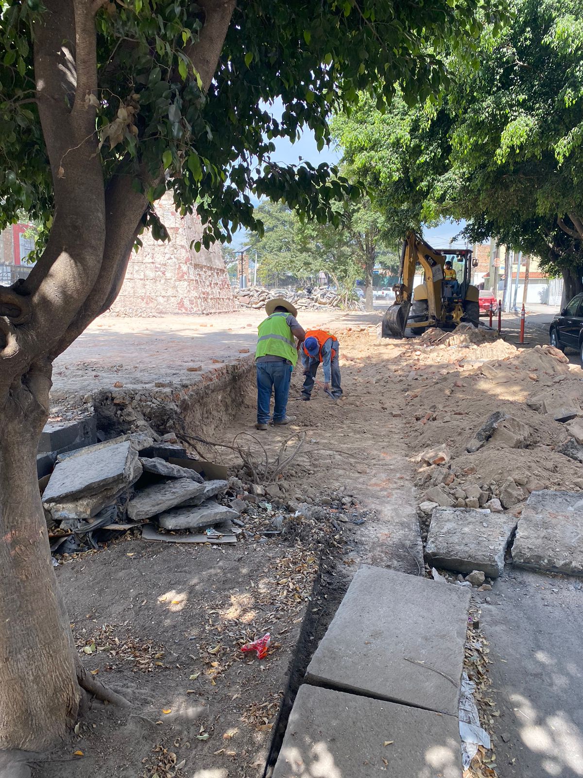 Imagen del proyecto