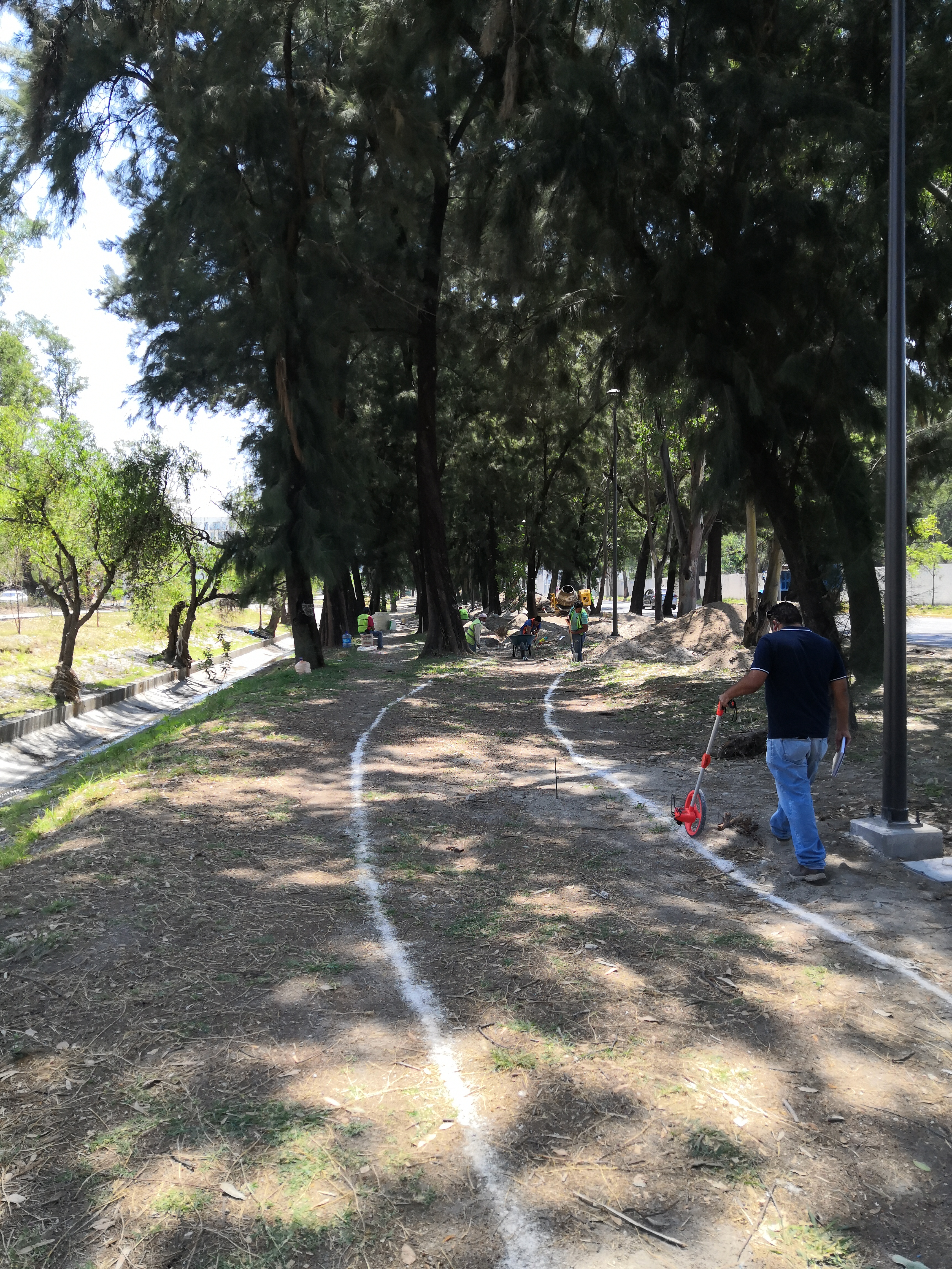 Imagen del proyecto