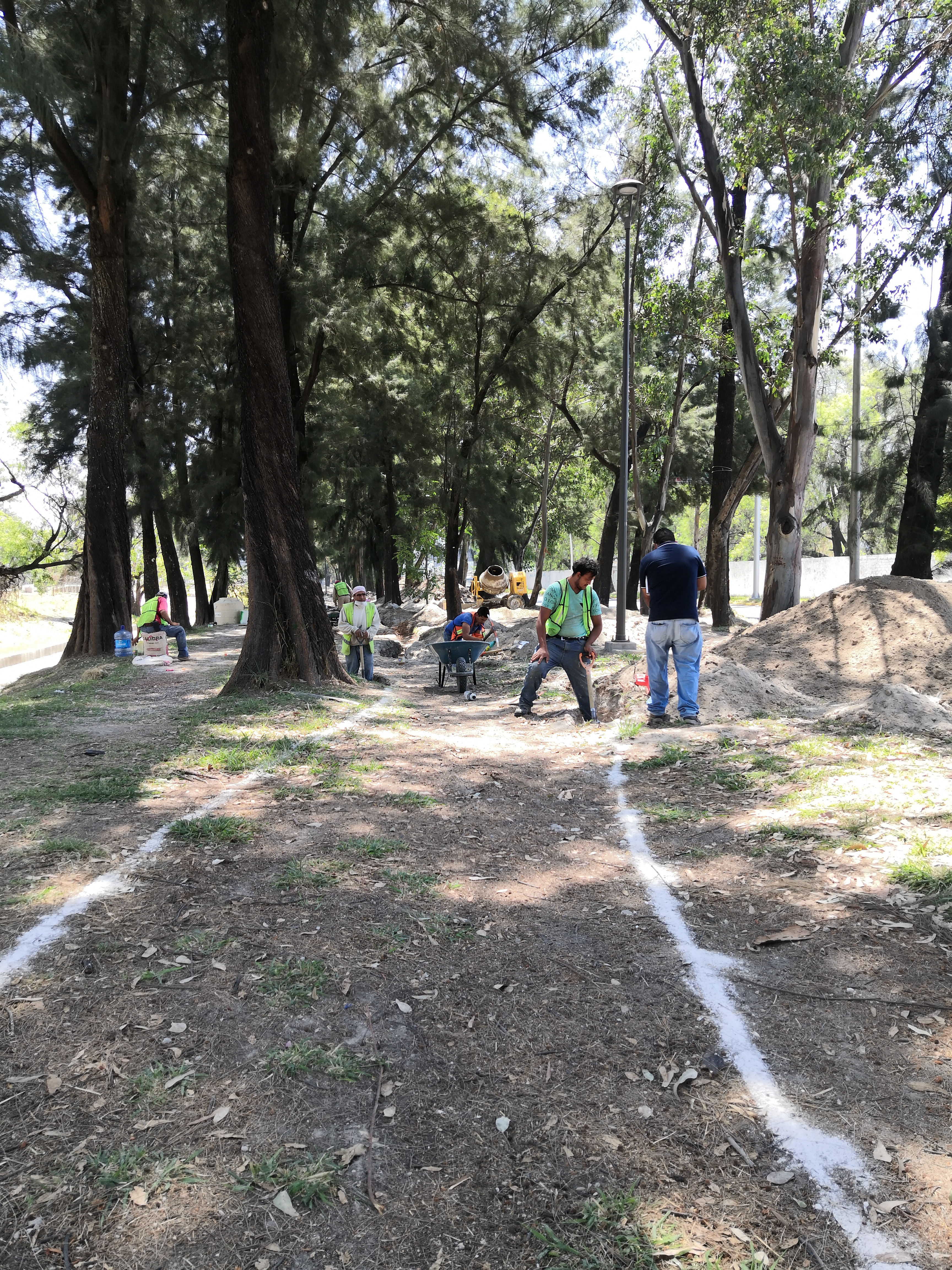 Imagen del proyecto