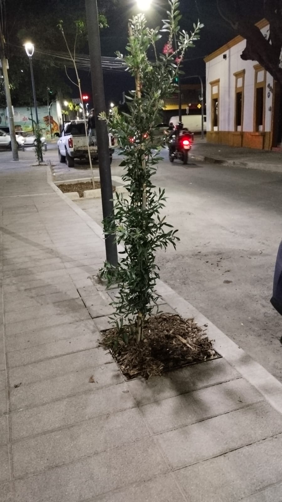 Imagen del proyecto