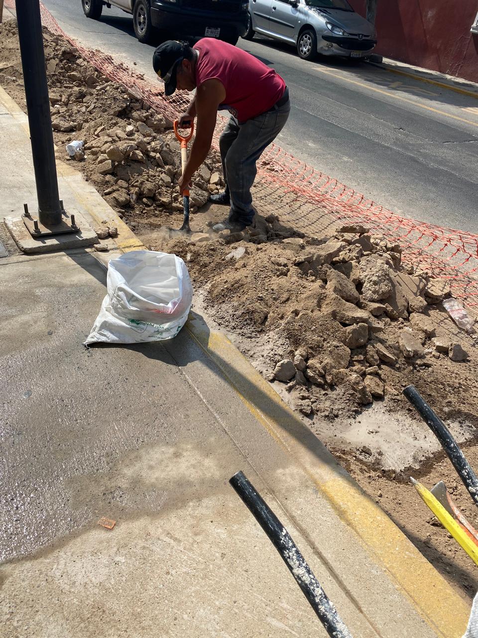 Imagen del proyecto