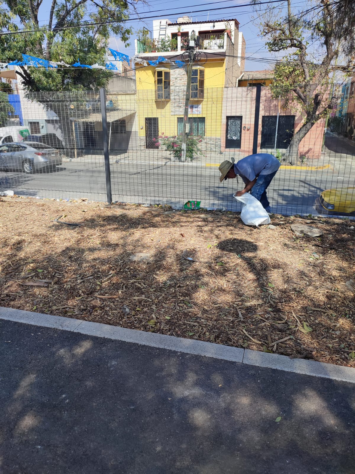 Imagen del proyecto