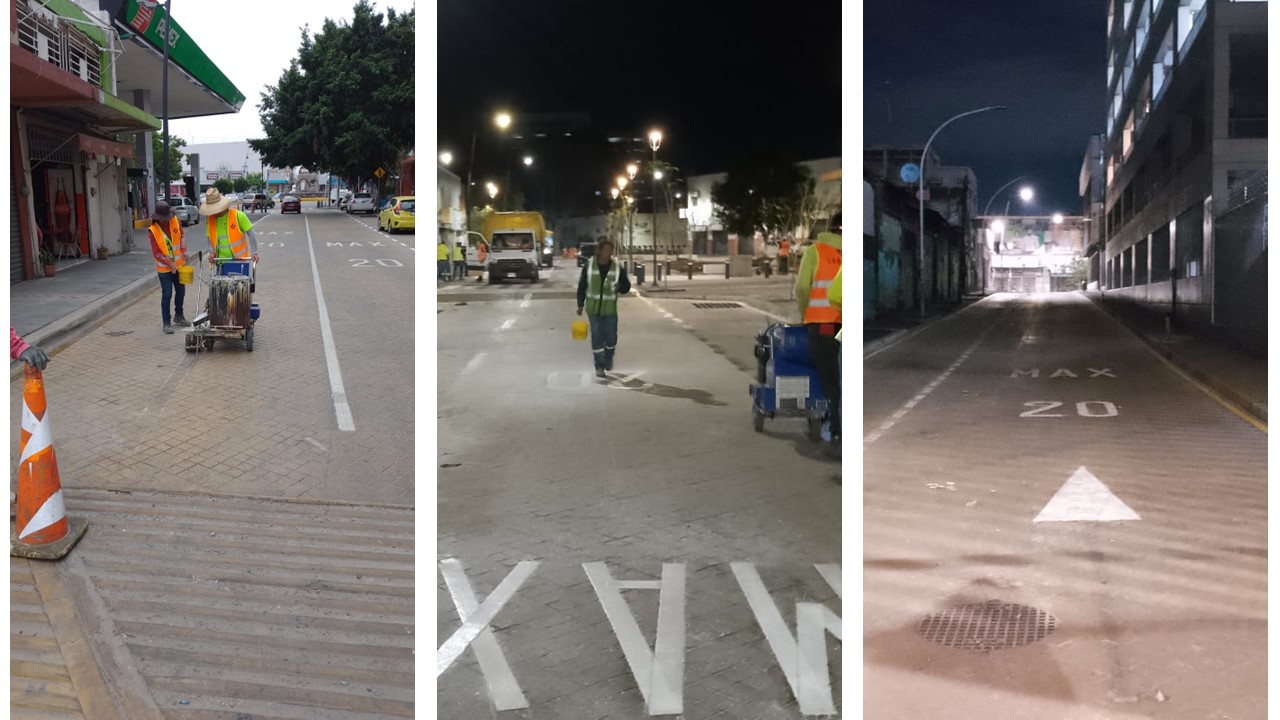 Imagen del proyecto