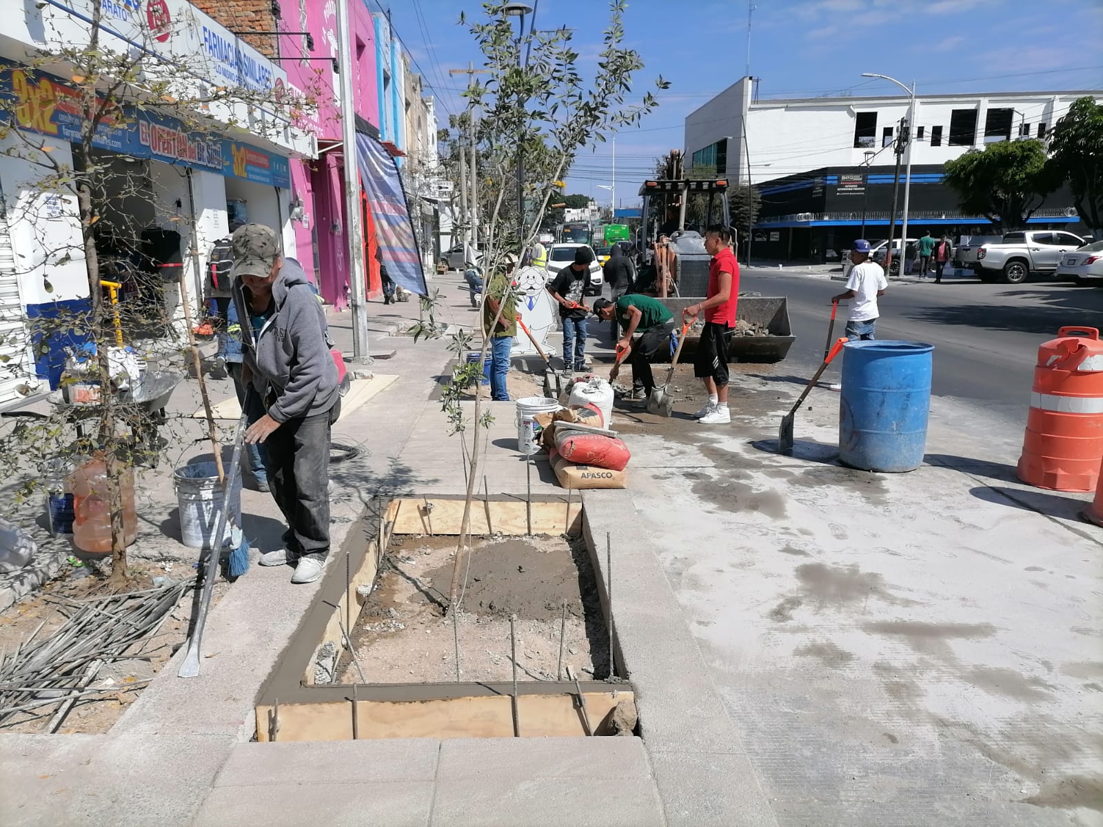 Imagen del proyecto