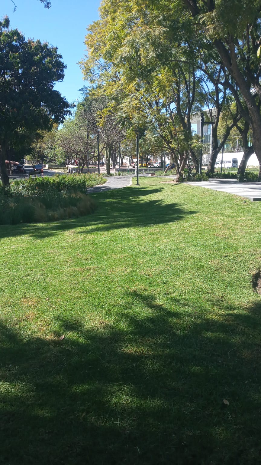 Imagen del proyecto