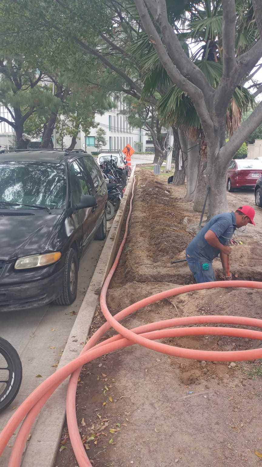 Imagen del proyecto