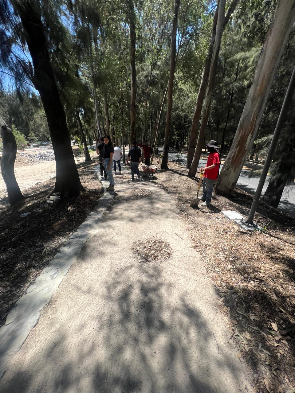 Imagen del Proyecto