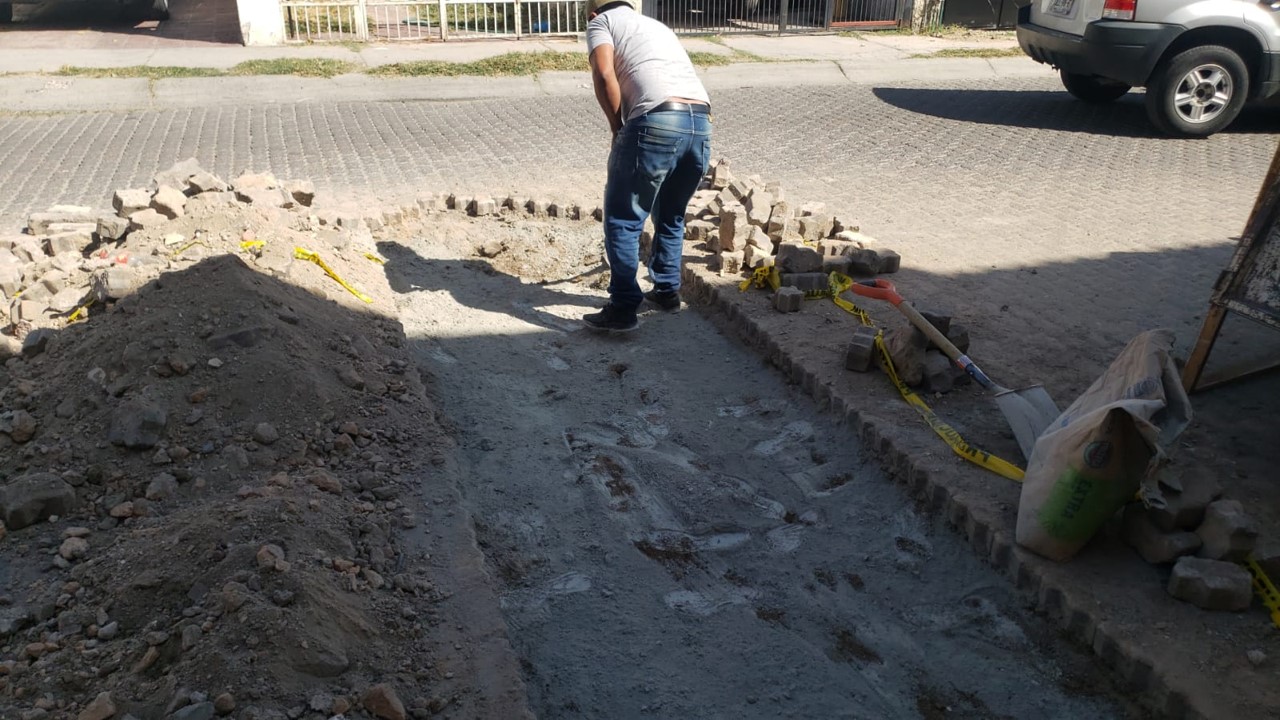 Imagen del proyecto