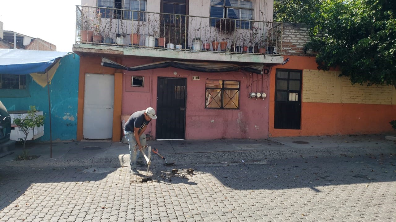 Imagen del Proyecto