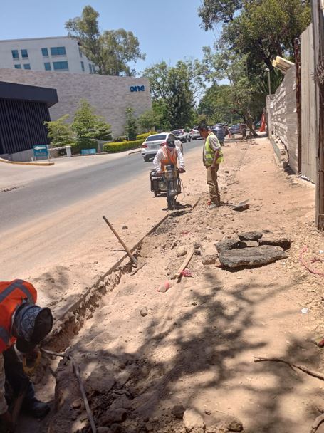 Imagen del proyecto